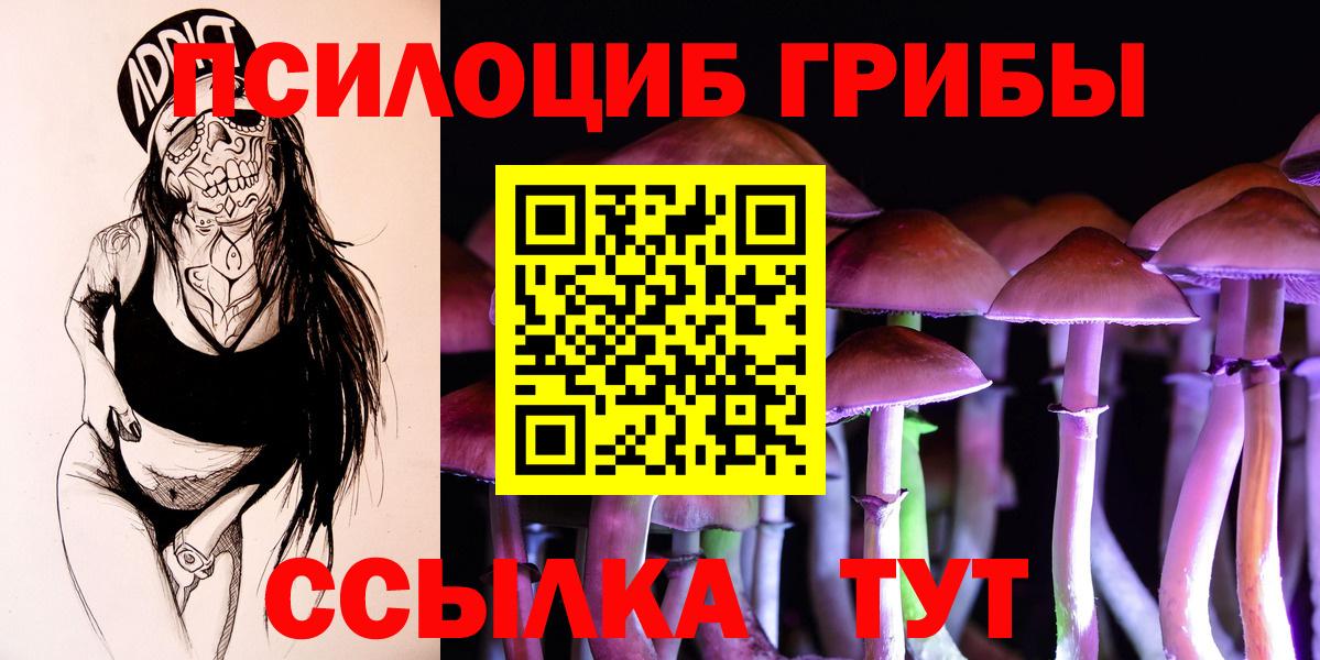Абакан  Галлюциногенные грибы Psilocybe  Вход с VPN 